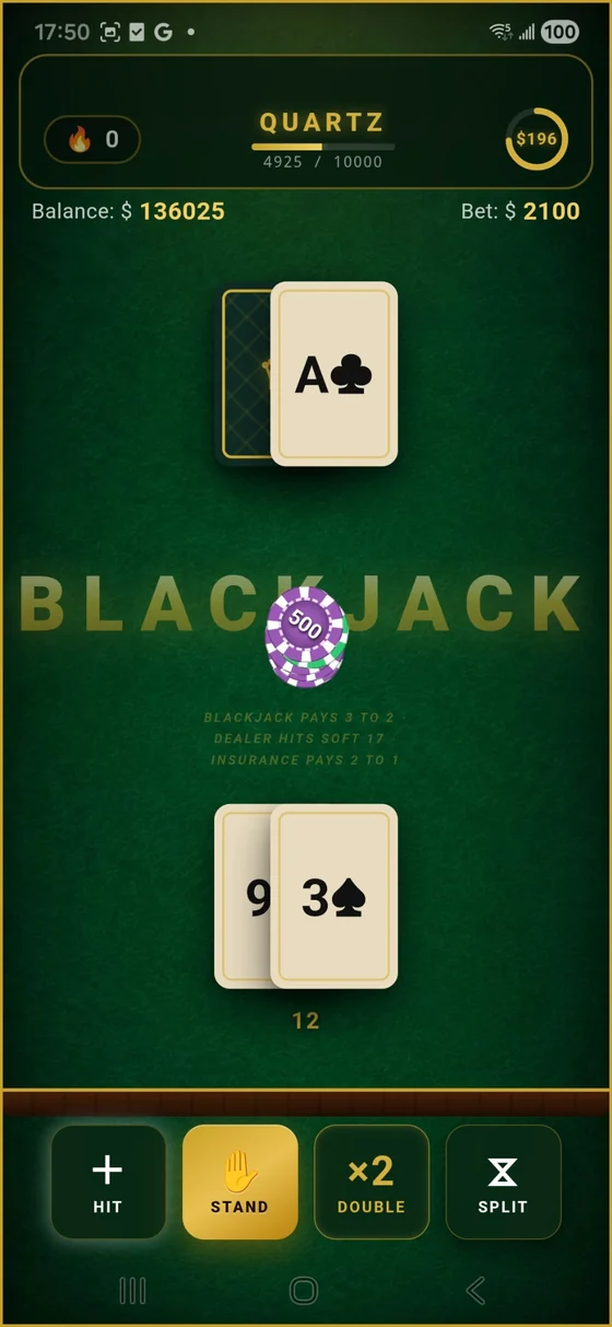 Premium Blackjack gameplay screen showing cards and Hit Stand Double Split controls